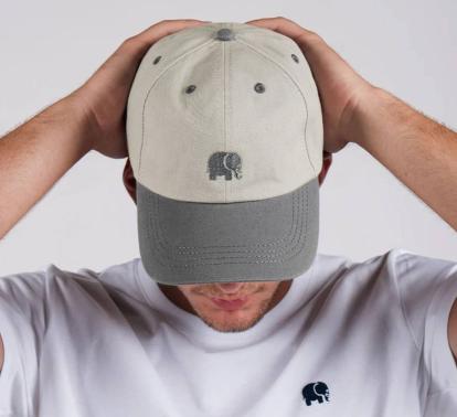 Logo Dad Cap